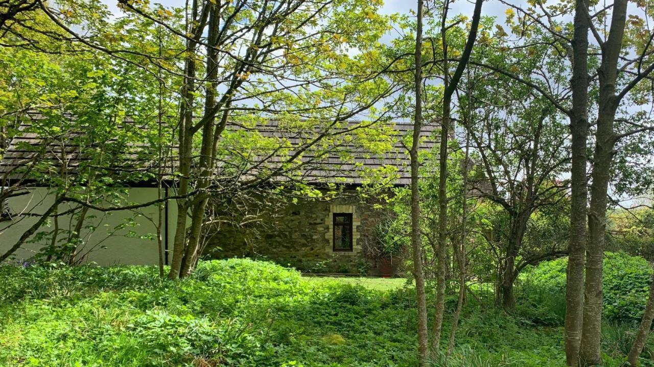 Gallery Cottage Aberdeen Exterior photo